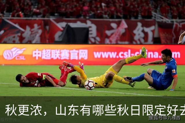 秋更浓，山东有哪些秋日限定好去处？